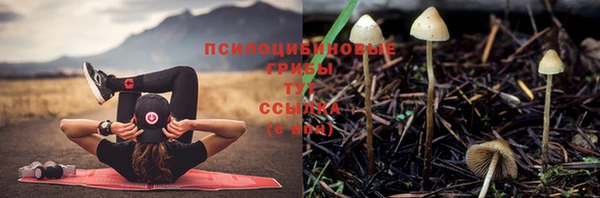 трава Абинск