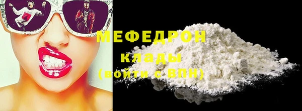 индика Абаза