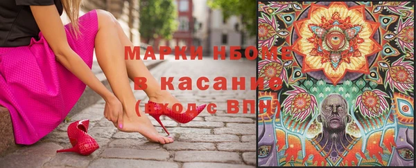 индика Абаза