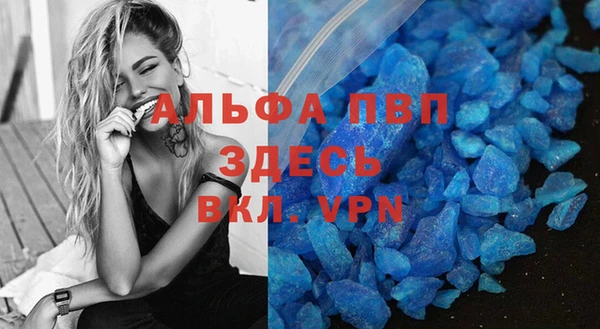 индика Абаза