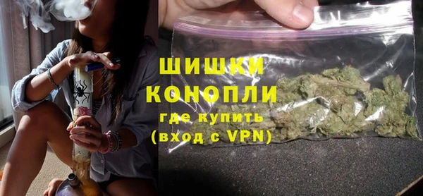 индика Абаза