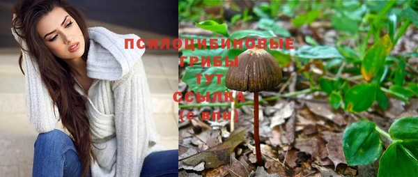 индика Абаза