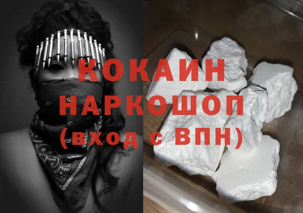индика Абаза